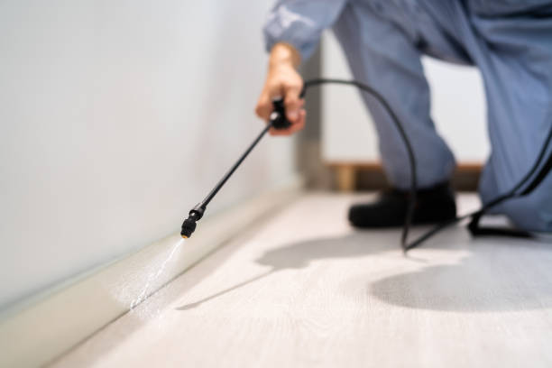 Licensed Pest Control service in Enterprise, UT - Show Me Pest Control